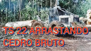 Skidder TS 22 arrastando cedro [upl. by Rekab]