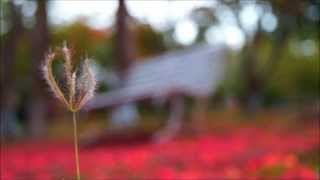 Tamil Nadu Agricultural University Campus life [upl. by Ariamoy]