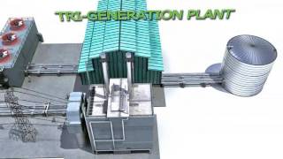 NTCC  National TriGeneration CHP Company profile video ver1 [upl. by Iffar437]