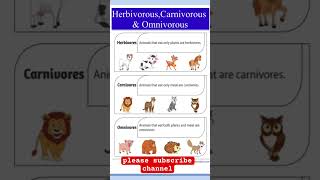 Herbivorous carnivorous and ominvorous animals eating habits omnivores animals [upl. by Allimak]