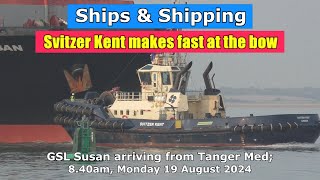 Svitzer Kent makes fast as GSL Susan arrives from Tanger Med Monday 19 Aug 2024 [upl. by Klimesh]