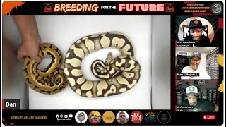 Breeding for the Future  Ep 2  Vision Quest Reptiles [upl. by Clerc]