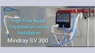 High Flow Nasal Cannula HFNC circuit installation in Mindray SV 300 ventilator [upl. by Portie]