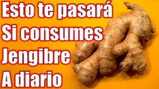 Las Propiedades del Jengibre y los Beneficios para tu cuerpo si lo consumes a diario [upl. by Raye]