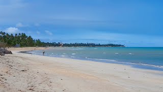 Maragogi Alagoas 22 De Setembro De 2023 Quatro Praias Em Um Vídeo [upl. by Oirramaj]