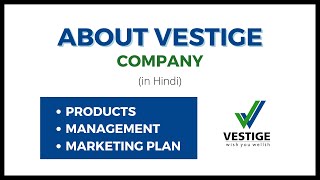 All About VESTIGE Company  Important Information in Hindi [upl. by Nekal]