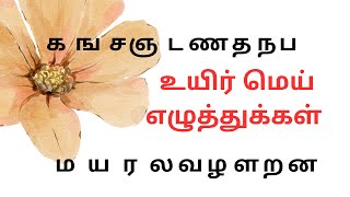 தமிழ் உயிர்மெய் எழுத்துக்கள்  உயிர்மெய் எழுத்துக்கள் UyirMei Ezhuthukkal  Learn Tamil Alphabet [upl. by Aiza55]