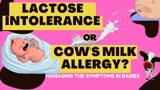 Does your Baby Have Lactose Intolerance Or Cows Milk Allergy [upl. by Yrrum6]