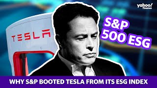 Why SampP booted Tesla from its ESG index [upl. by Mik769]