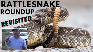 Rattlesnake Roundup Revisited [upl. by Stalder149]