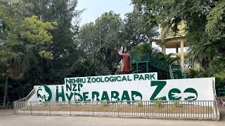 Nehru Zoological Park  Hyderabad [upl. by Jareen]