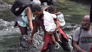 Dans lenfer de la jungle du Darién le calvaire des migrants qui rêvent dAmérique • FRANCE 24 [upl. by Queston778]