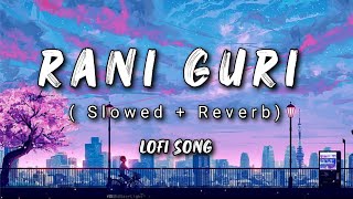 RANI GURI SAMBALPURI LOFI SONG  Slowed  Reverb mix Sambalpuri Lofi [upl. by Oneil]