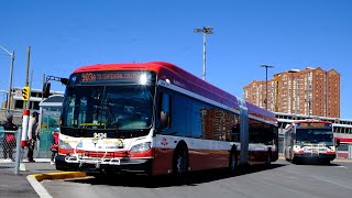 TTC Buses In Scarborough [upl. by Revkah]