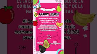 ¿Por qué el aguacate se oxida ciencia aguacate química quimica químicaorgánica [upl. by Ahsietal]