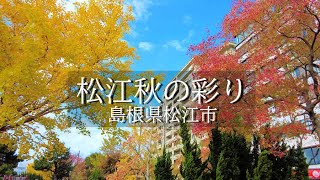 松江秋の彩り 松江の街に美しい紅葉の風景です市内の秋の彩りを撮影してみました 島根県松江市 [upl. by Kone]