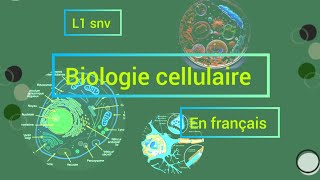 partie 02 de chapitre 01 biologie cellulaire L1 biologie 🔬🧬🧫 [upl. by Ella]