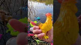 Kids Animal Name Learning Fun at the Pond Cat Dolphin Caterpillar Rooster Hammerhead Shark [upl. by Allrud]