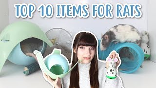 THE TOP 10 ITEMS FOR RATS [upl. by Uela476]