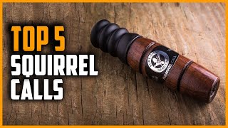 Top 5 Best Squirrel Calls in 2024 [upl. by Annaiel]