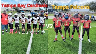 🚨🔥🏈 PW Tampa Bay Cardinals vs Tampa Falcons [upl. by Riabuz673]