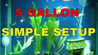 Aquarium Sample Setup for Beginners 5 Gallon Fish Tank [upl. by Oruasi588]