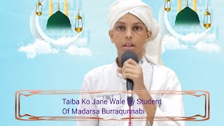 Taiba Ko Jane Wale By Student Of Madarsa Burraqunnabi Student [upl. by Assenyl]