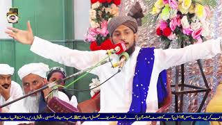 Milad e Mustafa  New Bayan  Hafiz Hassan Noori Sahib binsultan [upl. by Donny]