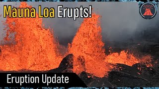 Mauna Loa Volcano Eruption Update New Eruption Occurs Summit Covered in Lava [upl. by Capriola908]