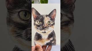 Check my bio if you’re interested in ordering a portrait of your pet🐾 [upl. by Sila]