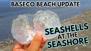 KUNG DATI BASURA NGAYON MGA SEASHELLS ANG MAKIKITA SA SEASHORE NG BASECO BEACH [upl. by Eraste]