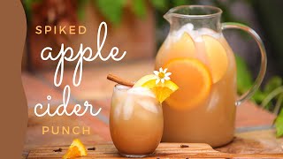 Apple Cider  Large Batch Cocktails  Holiday Drinks  Punch [upl. by Eiuqnom26]