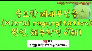 승모판막 폐쇄 부전증 승모판역류증 Mitral regurgitation 원인과 해부학적 기전 [upl. by Jade]