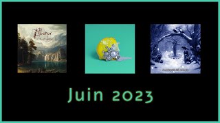 Achats Compulsifs de Juin 2023 Pillage de la Médiathèque [upl. by Adnana988]