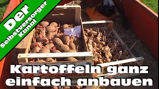 Kartoffeln ganz einfach anbauen [upl. by Nallak]