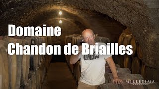 DOMAINE CHANDON DE BRAILLES  BOURGOGNE  MILLESIMA [upl. by Ahsurej]