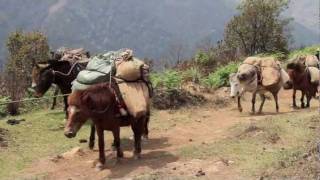 Feelings of Bhutan I  Trekking in Merak amp Sakteng [upl. by Anifled357]