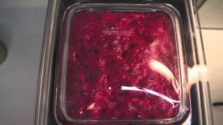 The Food Lab  Lesson no1 Raspberry Caviar [upl. by Aicerg448]