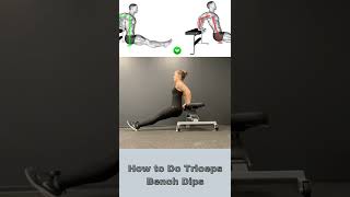 How to Do Triceps Bench Dips [upl. by Flanders]