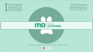 Prácticas Presenciales Auxiliares Veterinarios  MasterD [upl. by Dressler138]