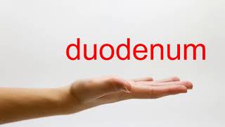 How to Pronounce duodenum  American English [upl. by Zaragoza]