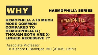 Why Hemophilia A is much more common compared to Haemophilia B [upl. by Alitha]