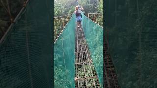 CANOPY WALK IN EL NIDO reizen solotravel fyp backpacking tips philippines canopywalk [upl. by Euqinomad]