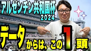 【アルゼンチン共和国杯2024】データで1頭に絞ります！ [upl. by Cristin907]