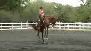 Bucking Horse with Female Rider [upl. by Dorine]