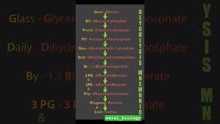 MNEMONIC FOR GLYCOLYSIS📋🖋️ [upl. by Niwred]