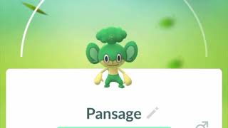 Pokemon GO Pansage Pokedex 360 Degree View [upl. by Eba]