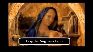 Pray the Angelus Latin [upl. by Fassold]