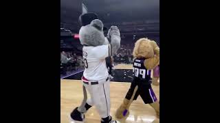 The Kings’ mascot converting other mascots to the Beam 😂😭 shorts [upl. by Ybroc]