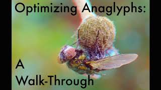 Optimizing Anaglyphs a WalkThrough [upl. by Lieno]